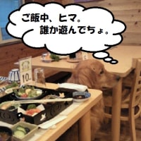 夏旅行！VOl.２　いえーい☆