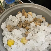 近々ブログ引越しします！