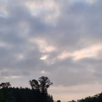 朝空