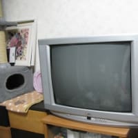 処分されたテレビ