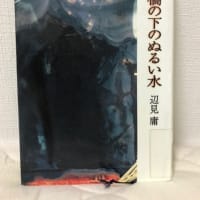 赤い橋の下のぬるい水