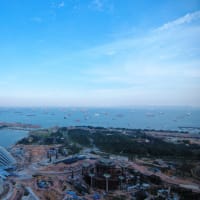 View from SKYPARK - I