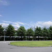 国際大学の食堂へ