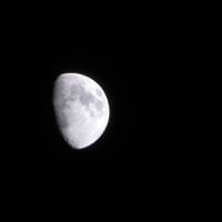 夜の徘徊　ヤマダからミニストップ