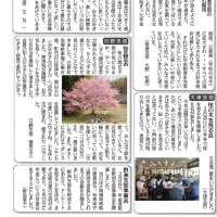 滋賀県本部機関紙「年金滋賀」４月号