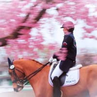 桜とお馬さん🐴