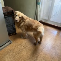 あるよね