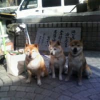 向かってます