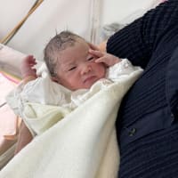 曾孫誕生