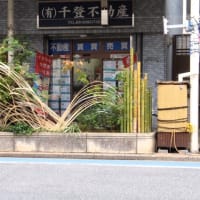 江戸川区・花壇コンクール　その３・名月＆ミニ庭園