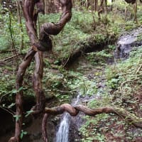 相馬山南麓_⑥(在りし日のガラメキ温泉場を偲んで)
