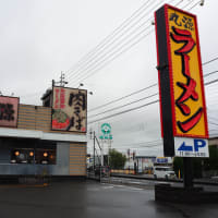 丸源ラーメン南国バイパス店へ行きまっせ