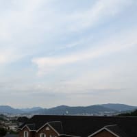 銀龍の言葉　　　　中国地方は梅雨明けしたそうです