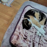 恵みの雨と魔の金曜日(T_T)