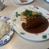 飲食店応援 ハルピンラーメンさん / レストランピーターさん他 (2407) 