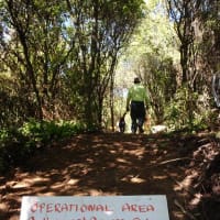 Great Lake Trail, TAUPO New Zealand