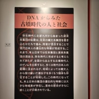 博物館浴（国立科学博物館「古代DNA　ー日本人のきた道ー」）