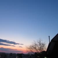 2025年4月1日～新年度です(*^。^*)
