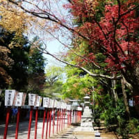ぶらっと歩きの風景in水戸(2-47)