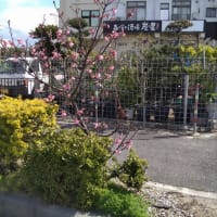 何かと大変な、結婚記念日・・。