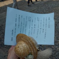 「粟田神社」の「夏越の祓い」に参列。猛暑を乗り切る厄払いなどを祈願。水無月も頂戴しました。