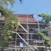 6月24日 道南案内