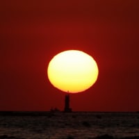 小池の夕陽