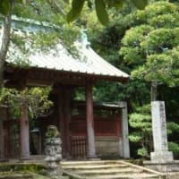 新緑の鎌倉①「寿福寺」、（２０２４春）。