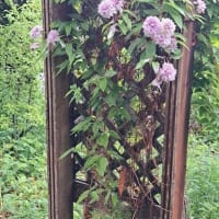生い繁る木々と雑草におおわれて ②