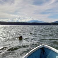 2022～23年西湖ワカサギ釣行記⑤　～丸美ボート～　痛恨の作戦ミス