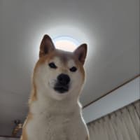 再び行動開始