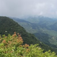 普賢岳新ルート巡視2506