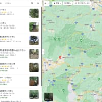 グーグルマップでタブノキ、シラカシなどの樹木や樹林を探す