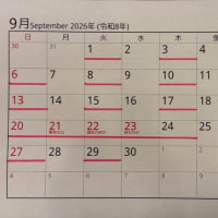 2026年坂根医院の日程表