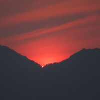 二上山の日の出～北大伴　千早川４　２０２５．７