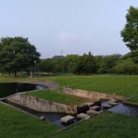 暑い！