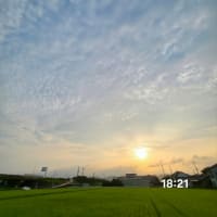 7月6日日曜日　