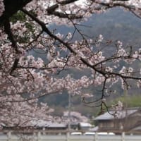 カメラ同好会の撮影会