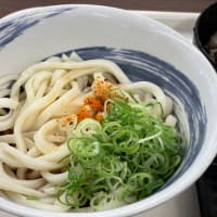 冷やしぶっかけうどん