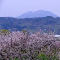 黒姫山（4/19 e）