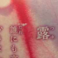いい枕が来ました😌🍀