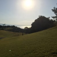 高知県に行きました。