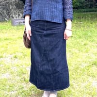 毛糸だま夏号206 より レースヨークのプル 進捗