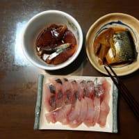 いよいよスタート　夜釣り