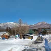 今年の春休みの頃はどんな景色になっているでしょう…⛄