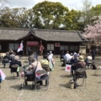 同期の桜を歌う会の報告