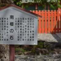 静岡　富士宮市で第2回ゴルフ合宿　その1　～静岡おでん、浅間大社、満開の桜、南極の石、火山弾、特別天然記念物　湧玉池～