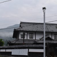 加子母の早朝