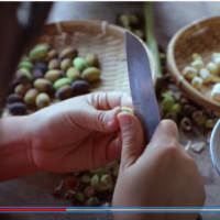 レンコンパウダー-真夏の蓮池の栄養と美味しさ【滇西小哥】🤩🏵️中国の桃源郷　蓮根料理いろいろ