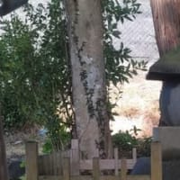 歴史紀行　87　源 範頼　墓所